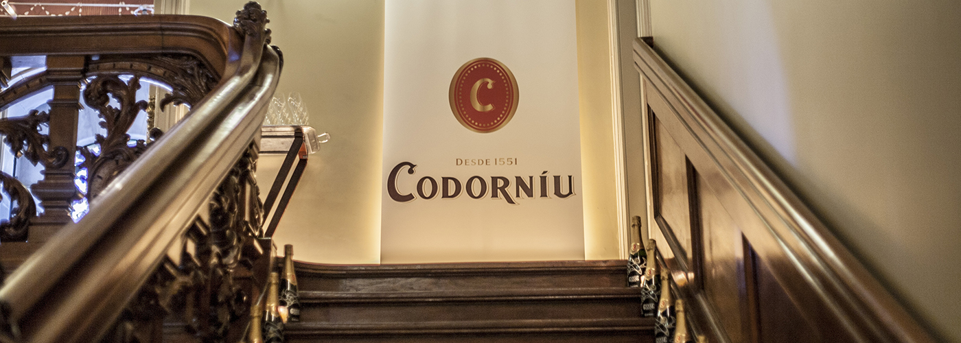 woodpeckers codorniu palauet 08