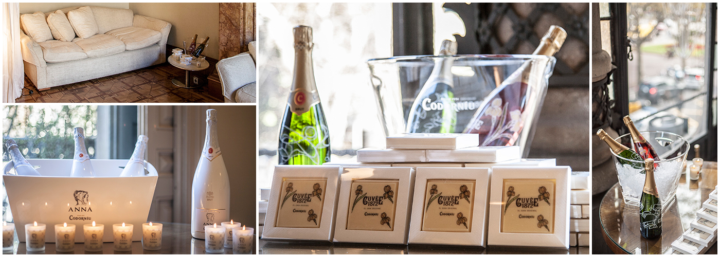 woodpeckers codorniu palauet 15