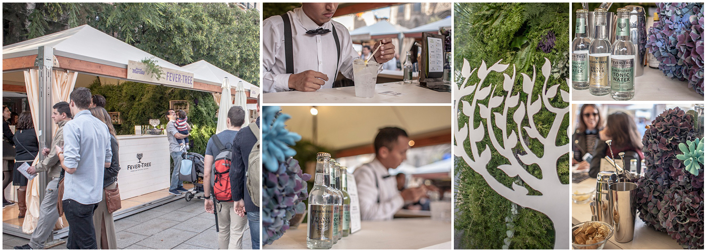 woodpeckers fever tree